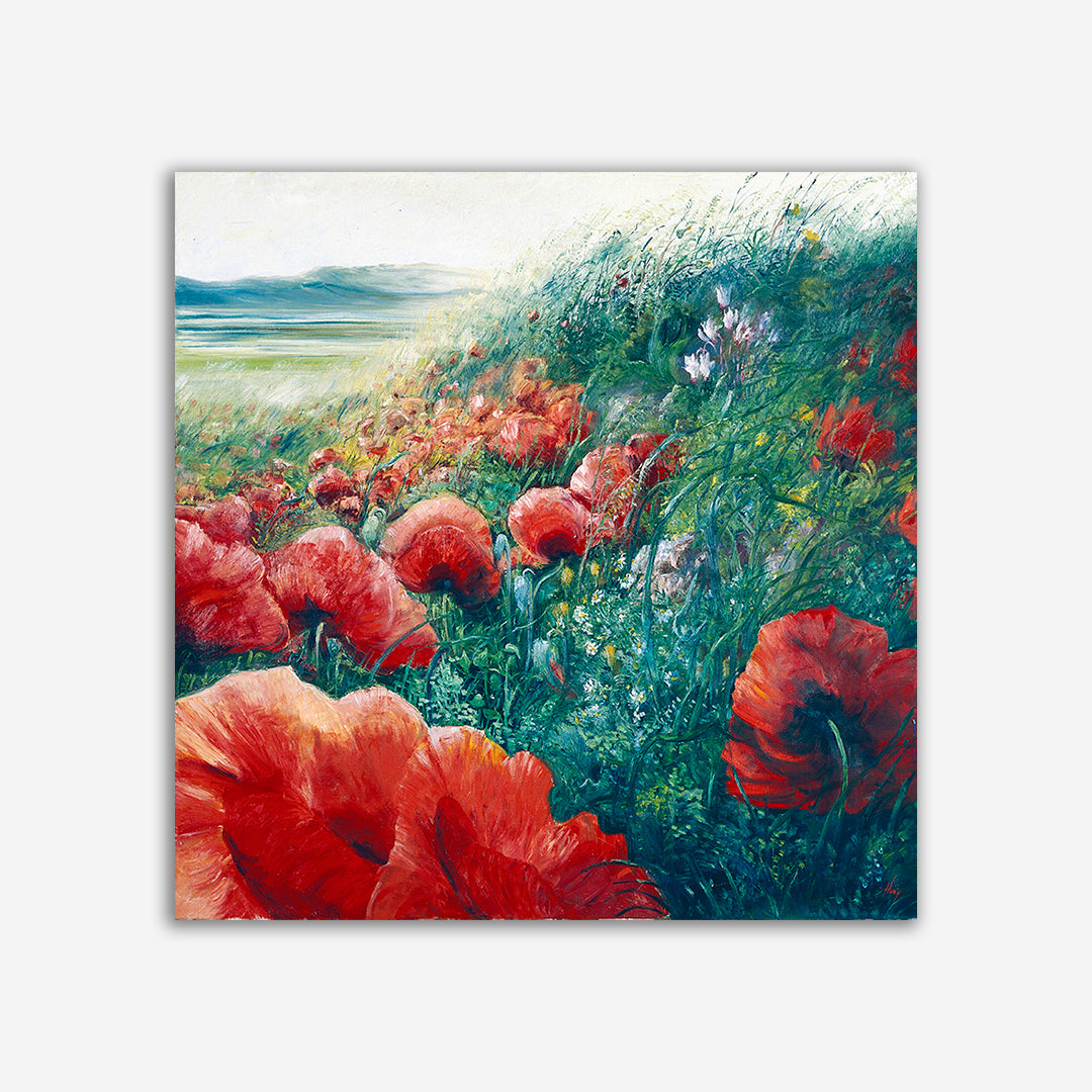 Poppy 1